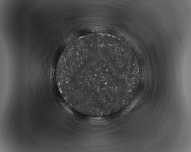 X0000086730281200705111621