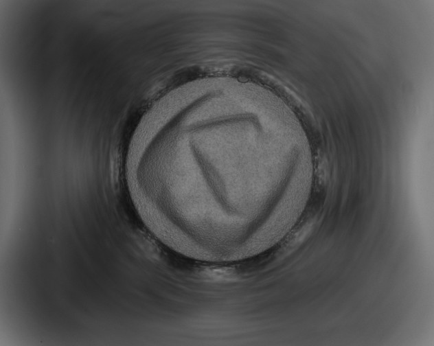 X0000086730283200705111621