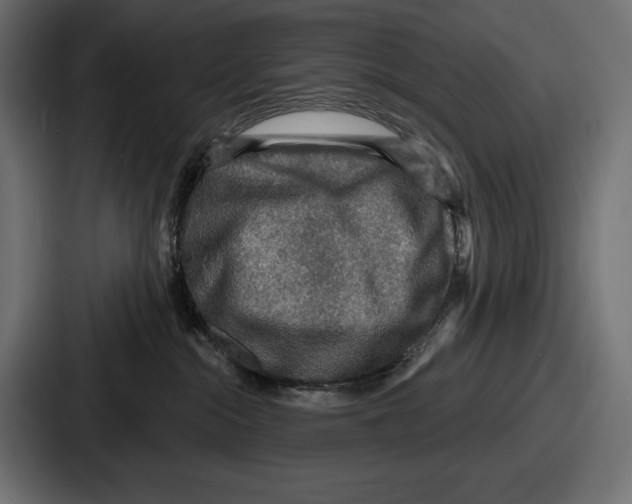 X0000086730284200705111621