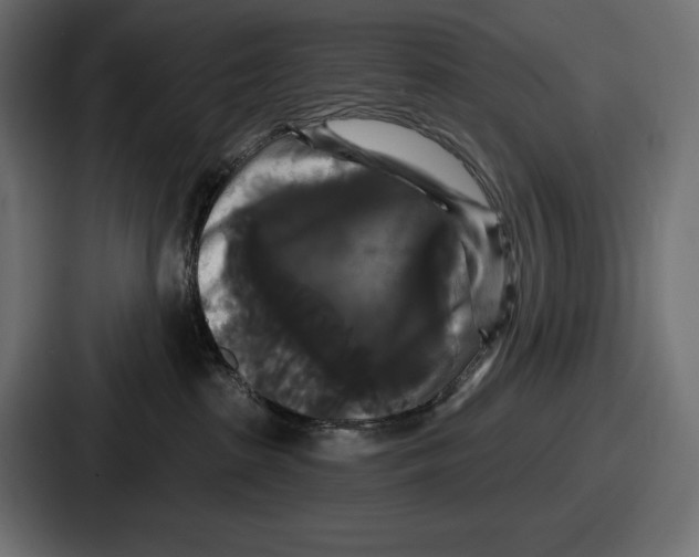 X0000086730285200705111621