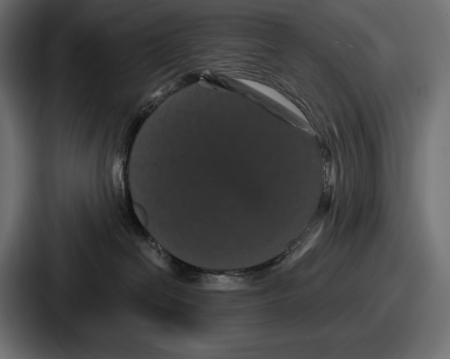 X0000086730286200705111621