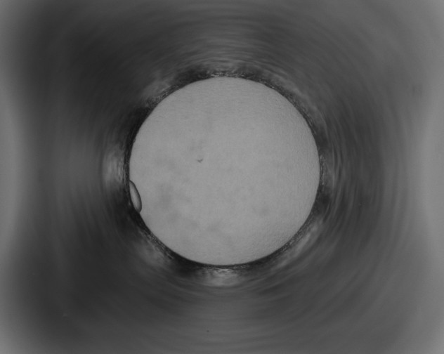 X0000086730287200705111621