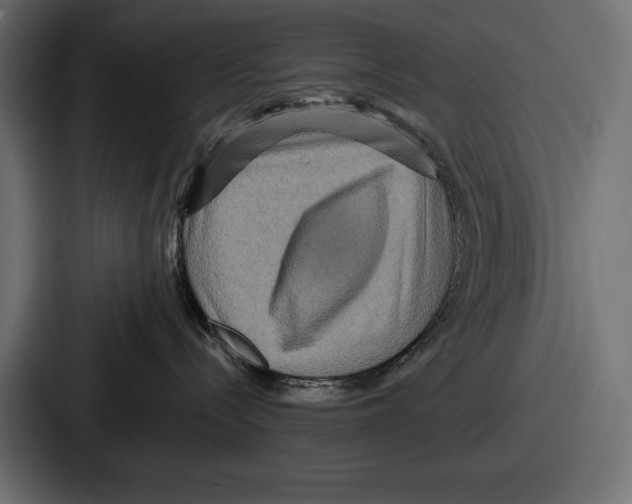 X0000086730288200705111621