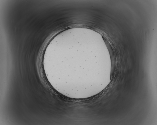 X0000086730289200705111620