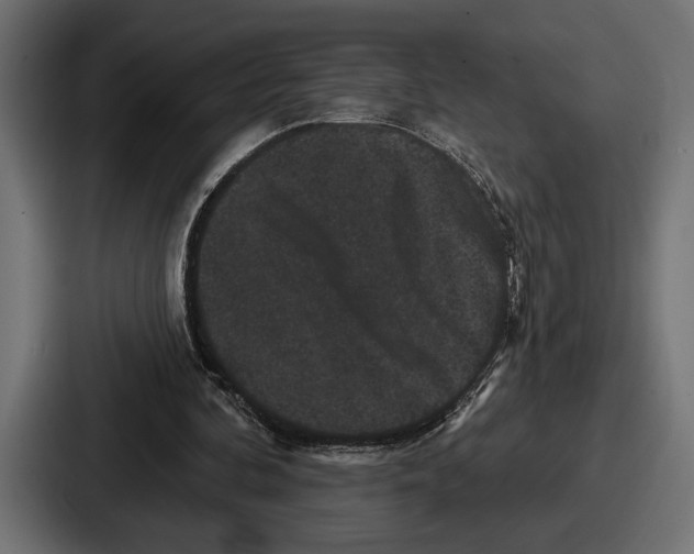 X0000086730292200705111620