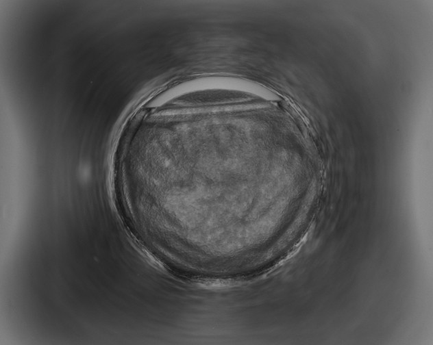 X0000086730293200705111620