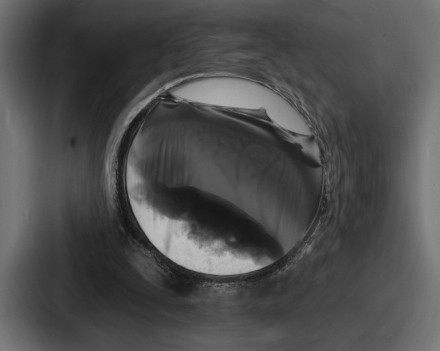 X0000086730295200705111620