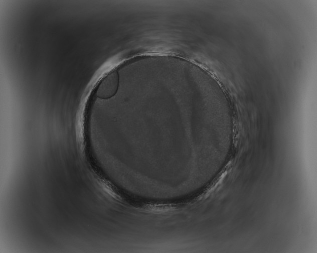 X0000086730296200705111620