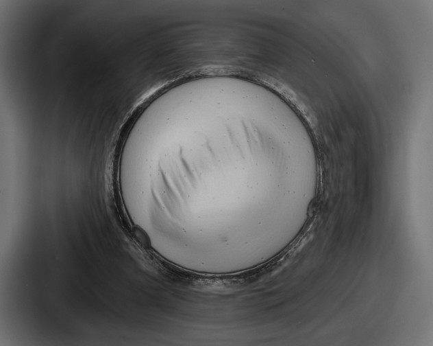 X0000086730297200705111620