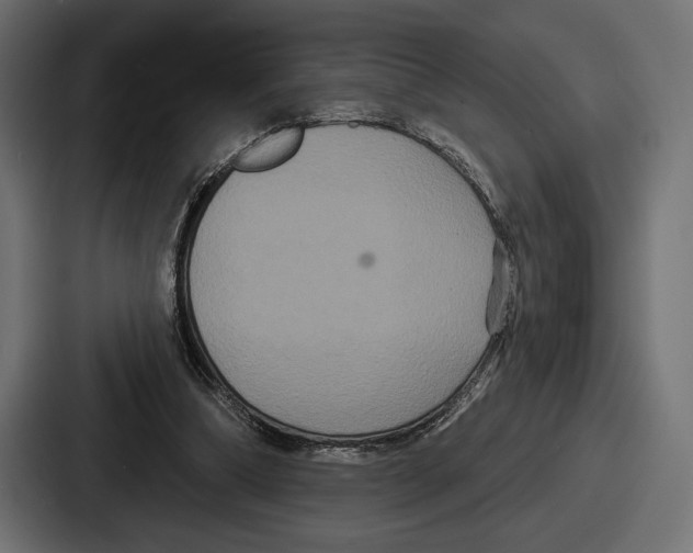 X0000086730298200705111620
