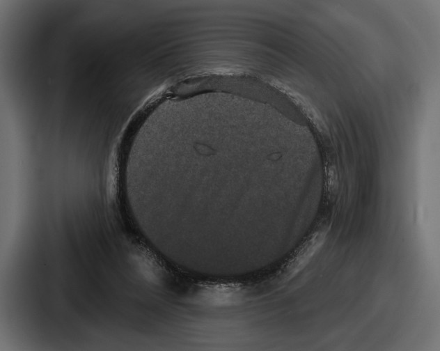 X0000086730304200705111620