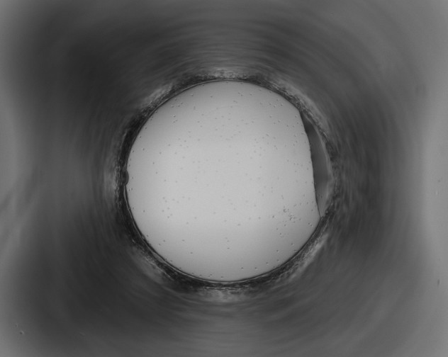 X0000086730305200705111620