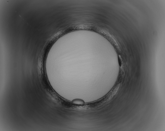 X0000086730306200705111620