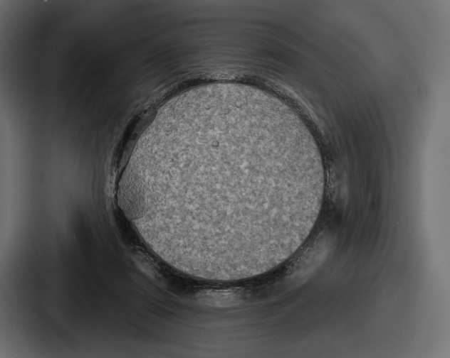 X0000086730307200705111620