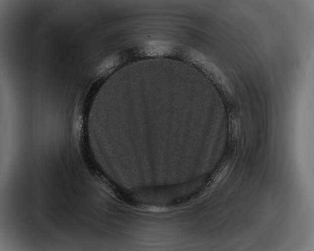 X0000086730308200705111620