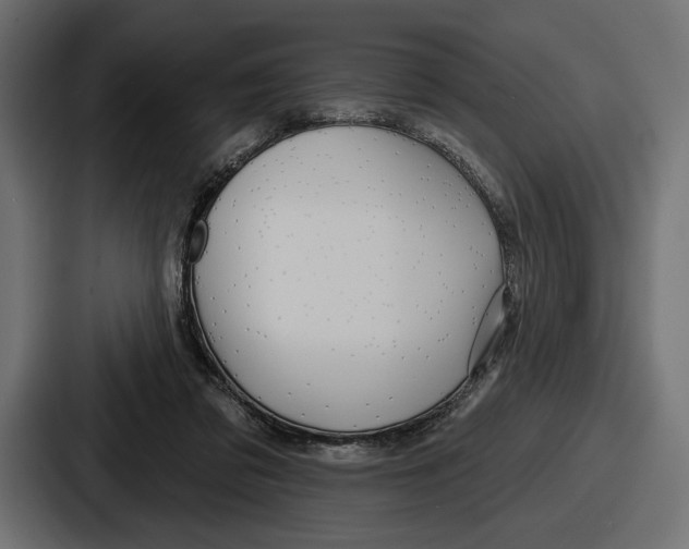 X0000086730309200705111620