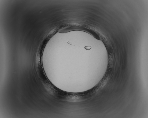 X0000086730310200705111620