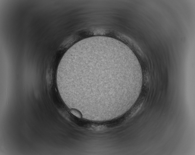 X0000086730311200705111620