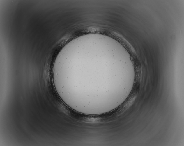 X0000086730313200705111620