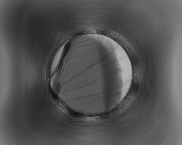 X0000086730314200705111620