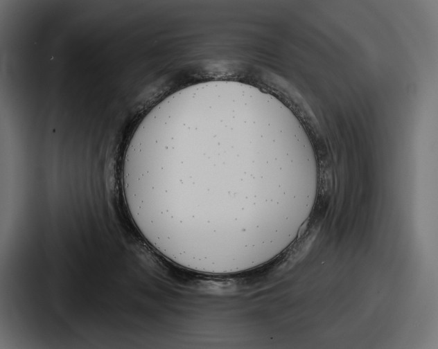 X0000086730317200705111620