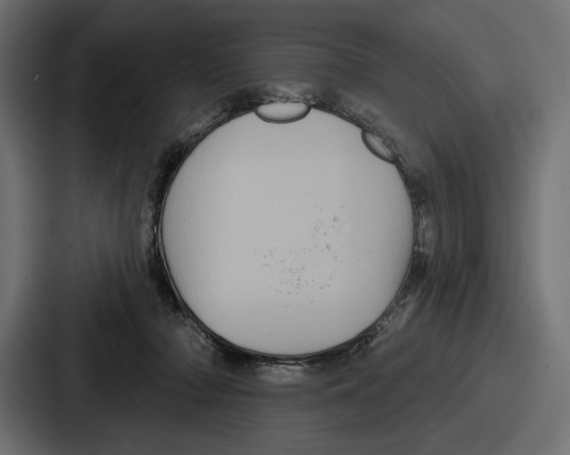 X0000086730318200705111620
