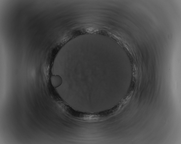 X0000086730319200705111620