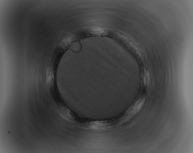 X0000086730320200705111620