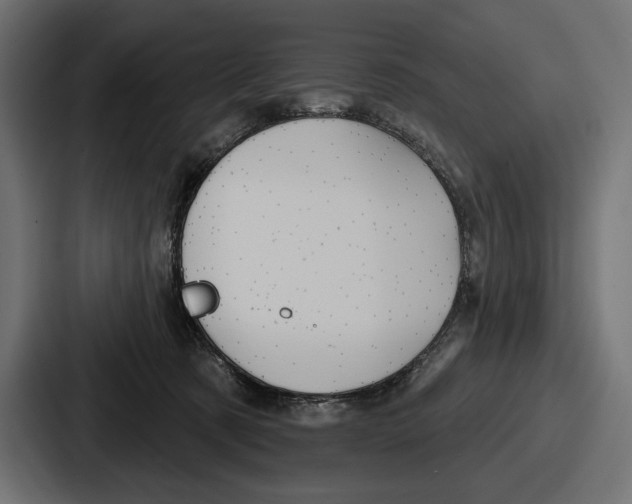 X0000086730321200705111620