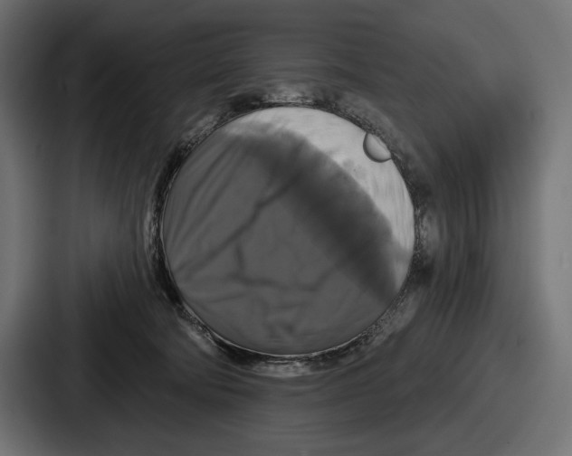 X0000086730322200705111620