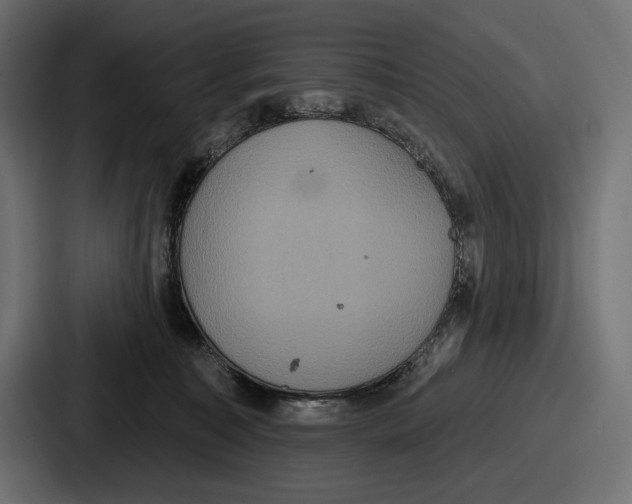 X0000086730323200705111620