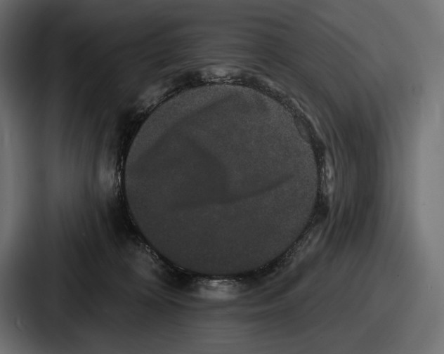X0000086730324200705111620