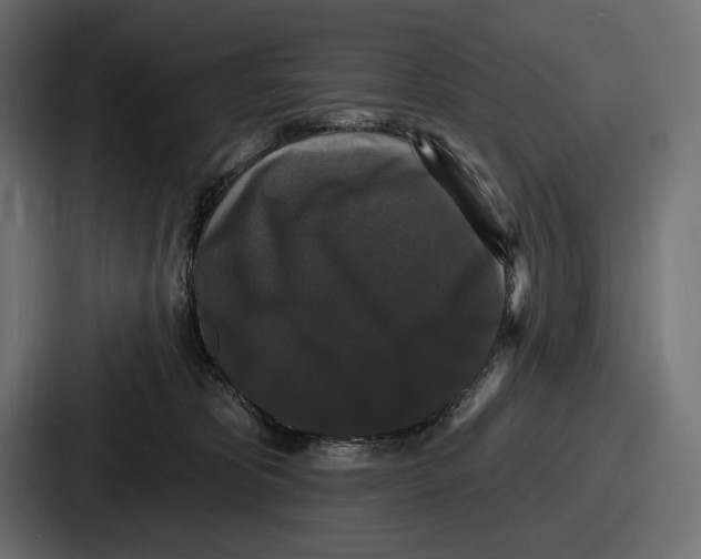 X0000086730325200705111620