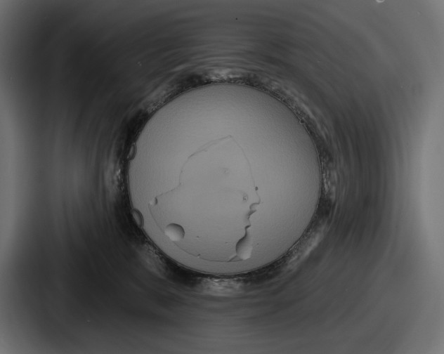 X0000086730327200705111620