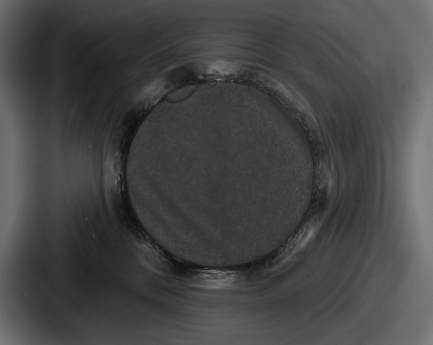 X0000086730328200705111620