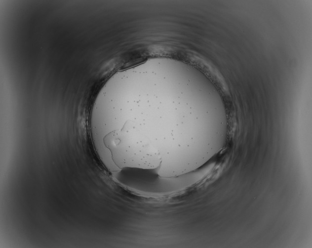 X0000086730329200705111620