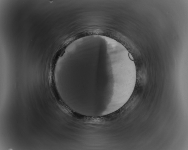 X0000086730330200705111620