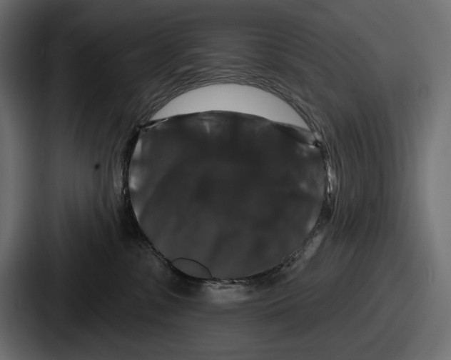 X0000086730331200705111620
