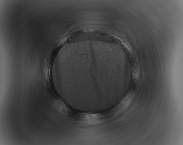 X0000086730332200705111620