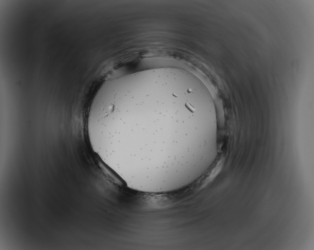 X0000086730333200705111620
