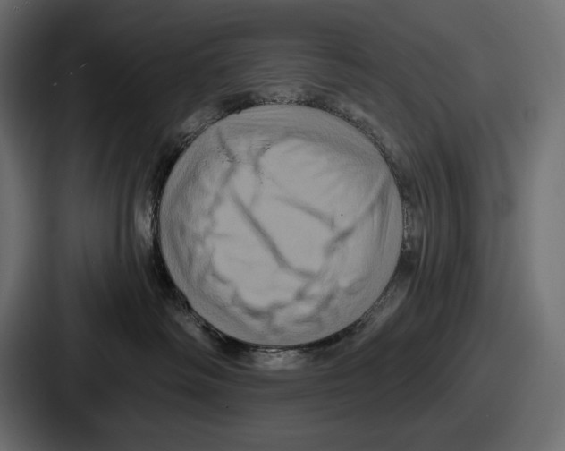 X0000086730334200705111620