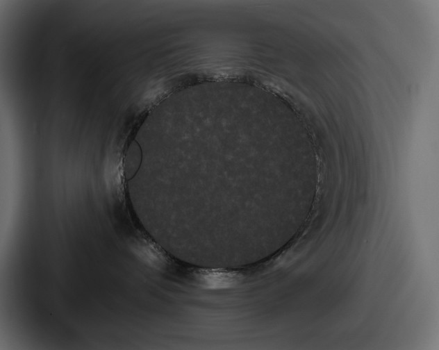 X0000086730336200705111620