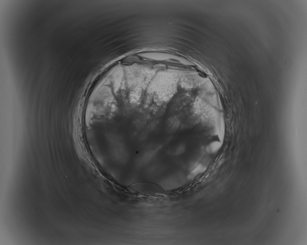 X0000086730337200705111619