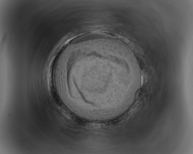 X0000086730339200705111619