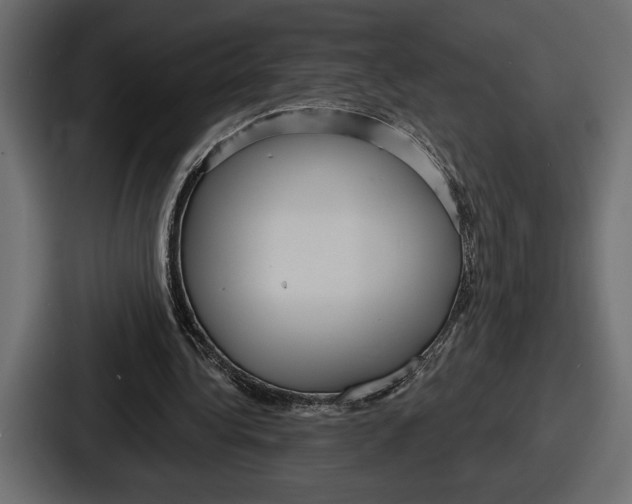 X0000086730340200705111619