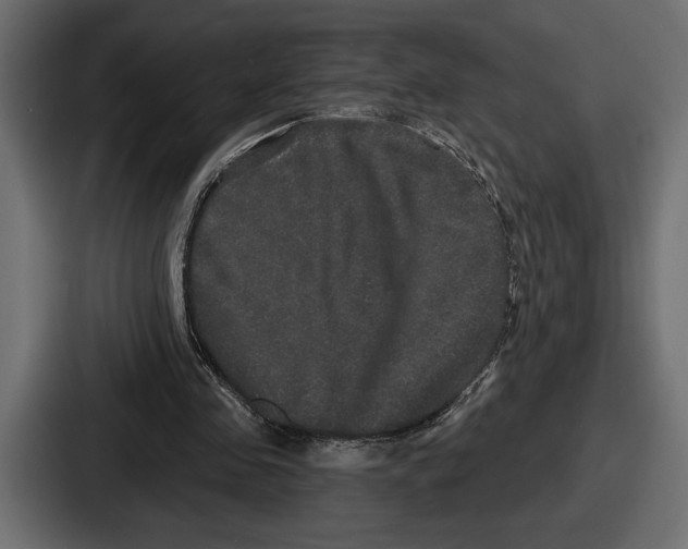 X0000086730341200705111619