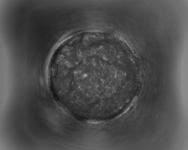 X0000086730343200705111619