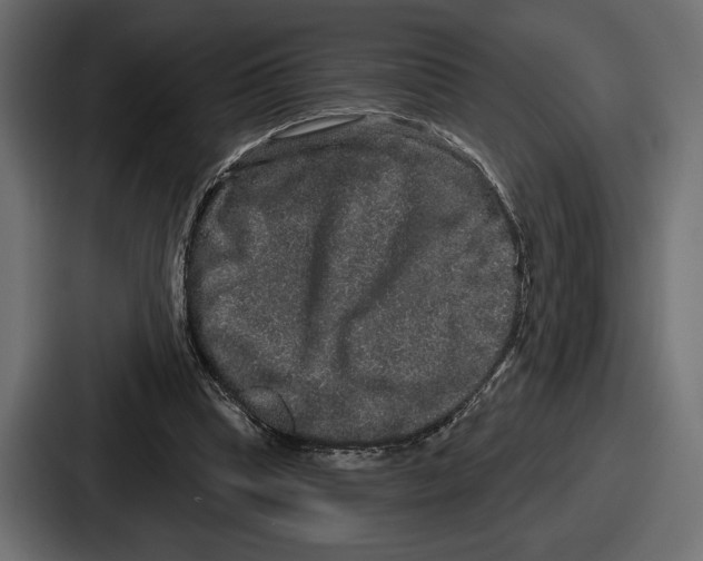 X0000086730345200705111619