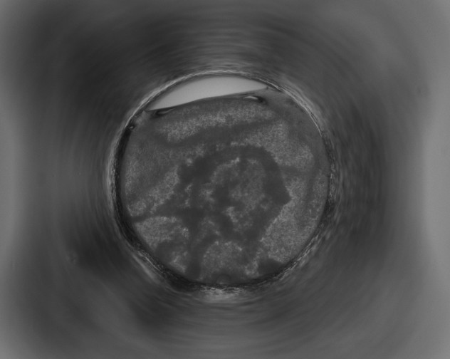 X0000086730346200705111619