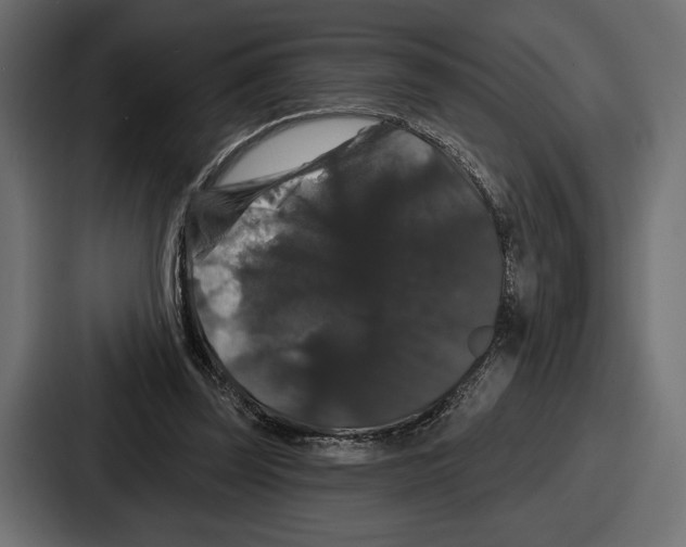 X0000086730347200705111619
